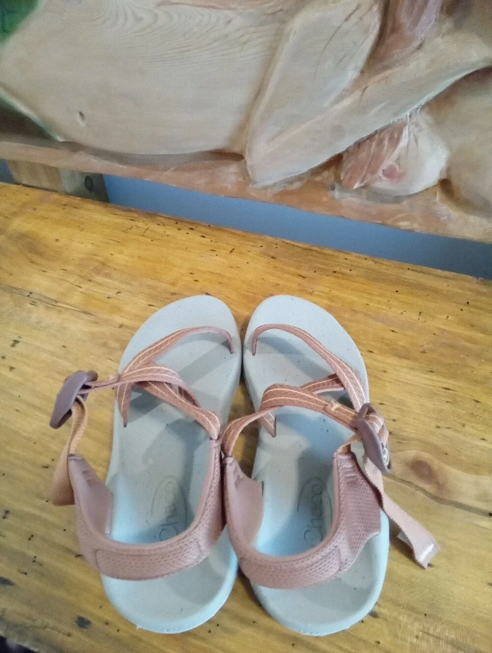 Chaco CushZ Toe-Loop Extra Cushioned Sandals Women's Sz 9 Frond Pink Salt